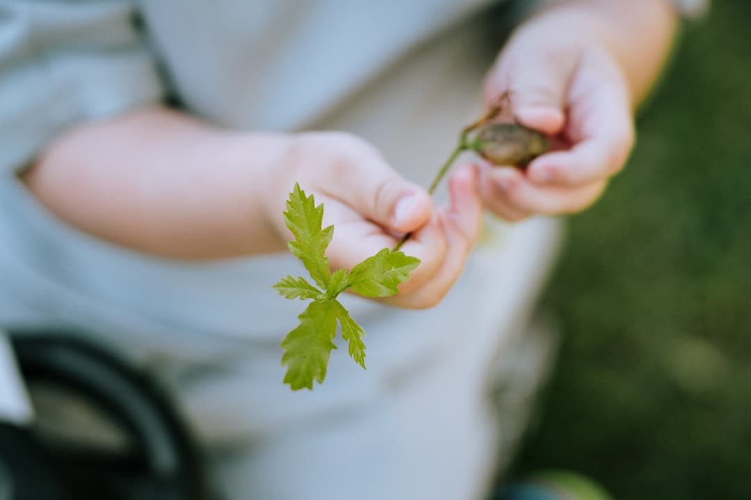 Child exploring